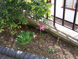 mrs dunn october 08 001