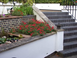 mrs dunn october 08 002