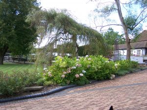 mrs dunn october 08 005